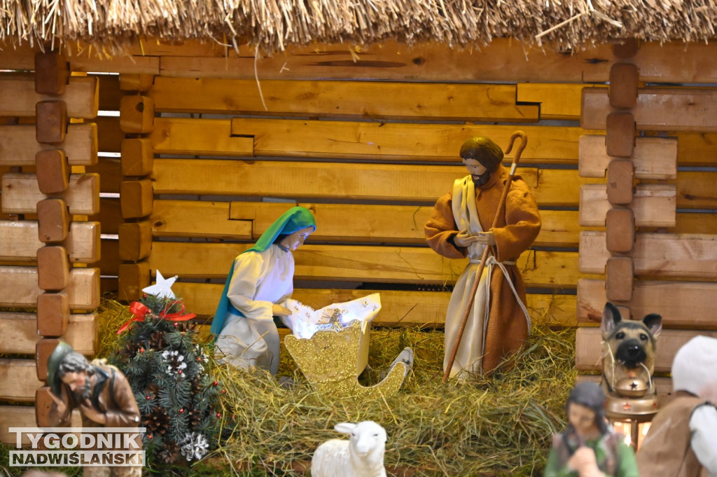 Szopki w kościołach w Tarnobrzegu