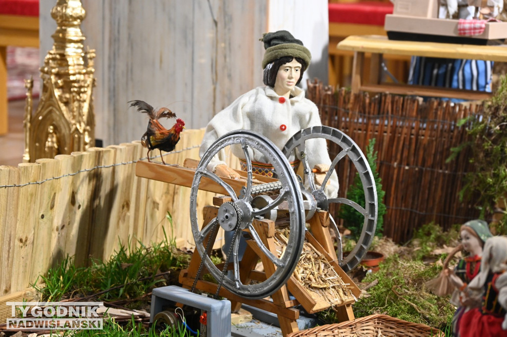 Szopki w kościołach w Tarnobrzegu