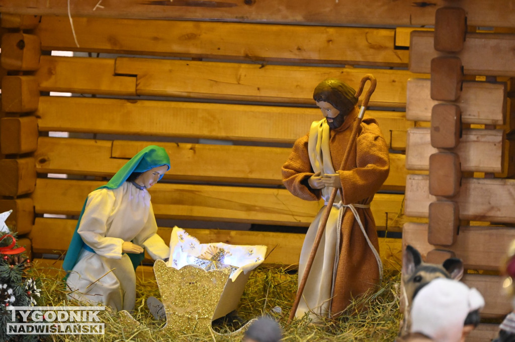Szopki w kościołach w Tarnobrzegu