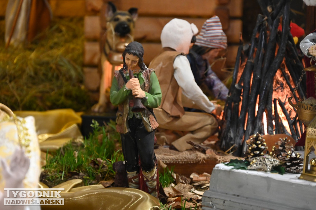 Szopki w kościołach w Tarnobrzegu