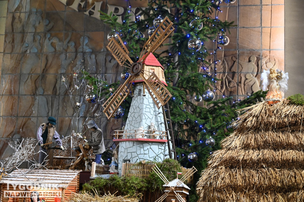 Szopki w kościołach w Tarnobrzegu