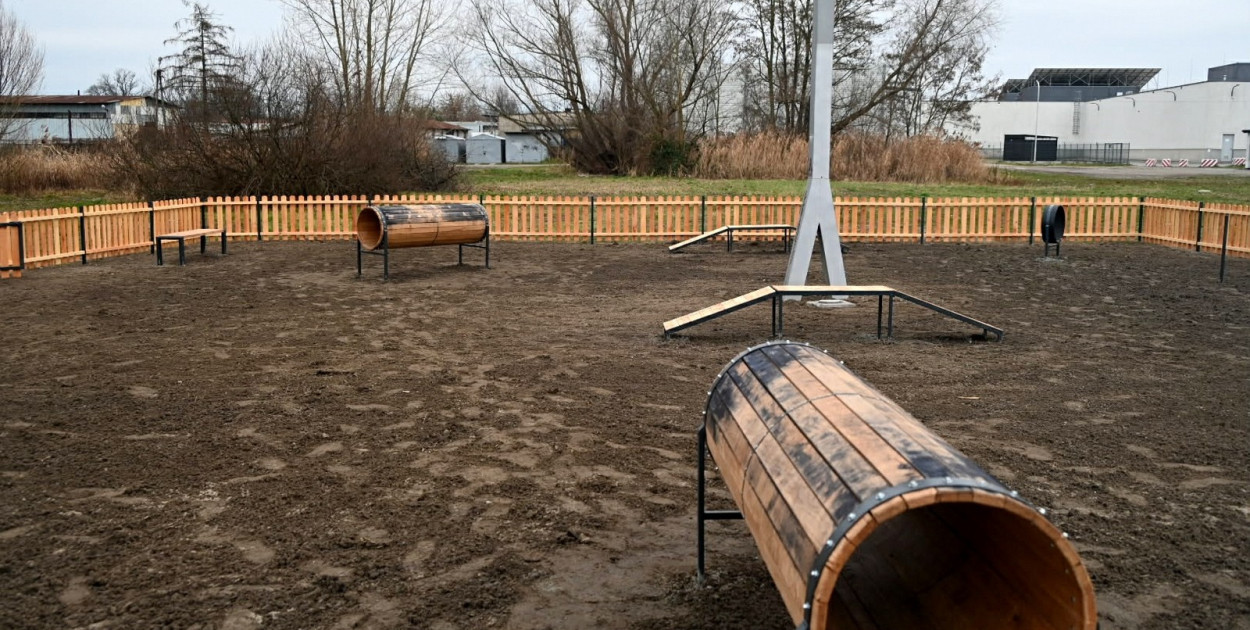 Psi plac zabaw w Tarnobrzegu