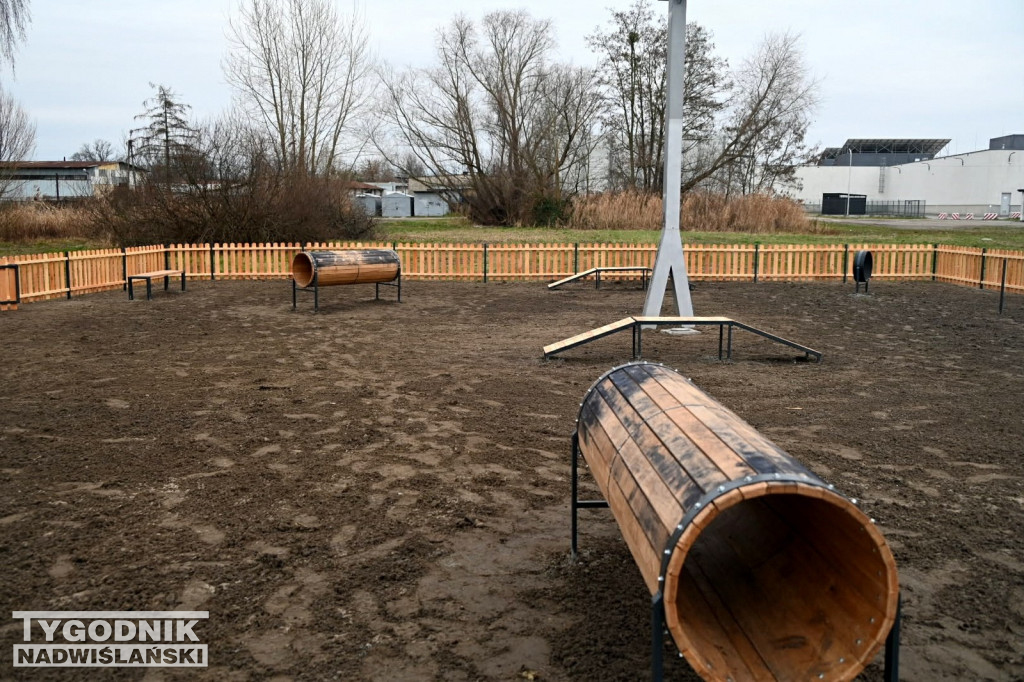 Psi plac zabaw w Tarnobrzegu