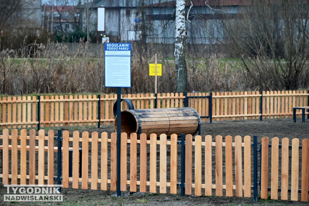 Psi plac zabaw w Tarnobrzegu