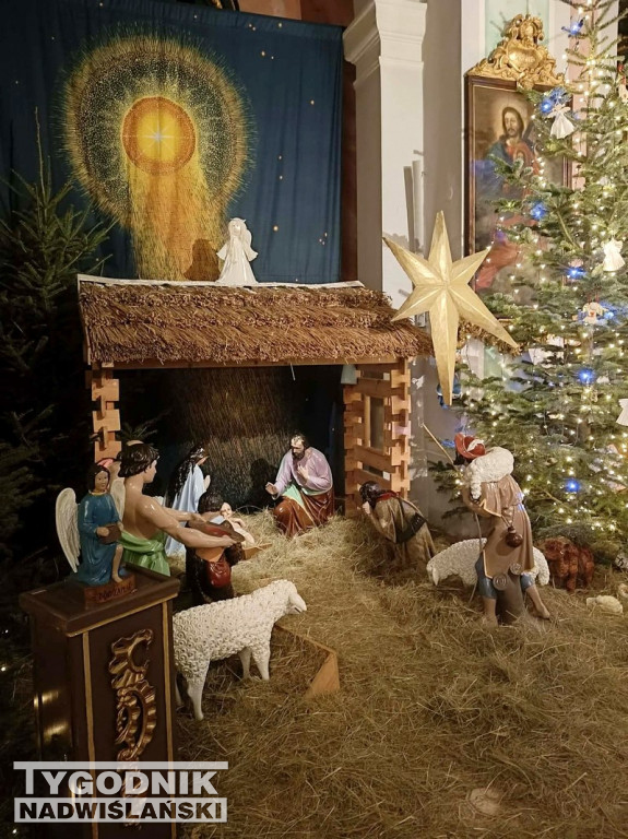 Szopki w kościołach w Tarnobrzegu
