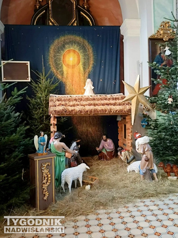 Szopki w kościołach w Tarnobrzegu