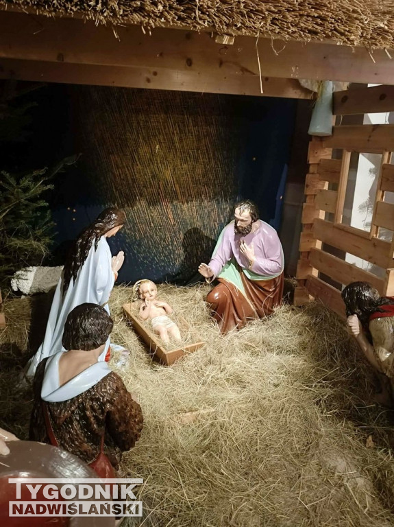 Szopki w kościołach w Tarnobrzegu