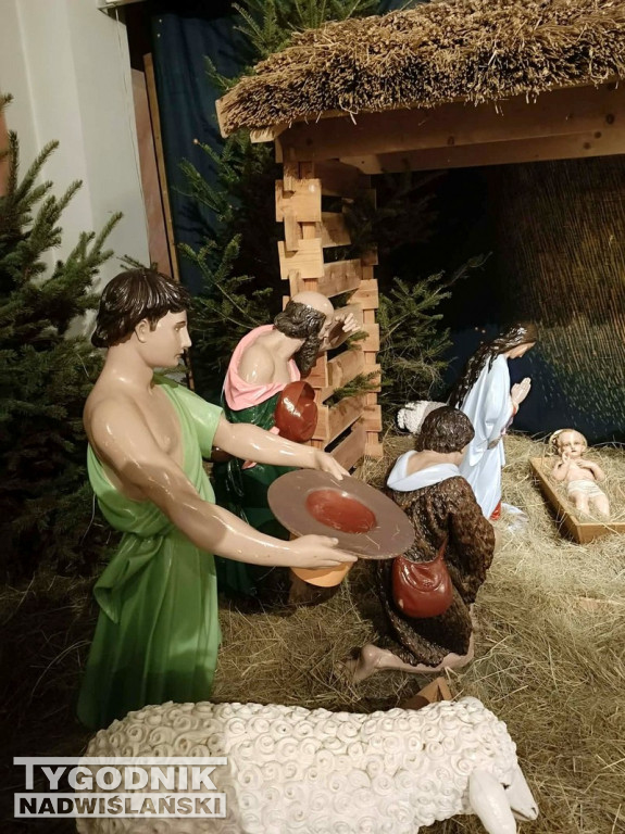 Szopki w kościołach w Tarnobrzegu