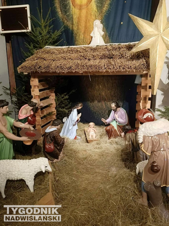 Szopki w kościołach w Tarnobrzegu
