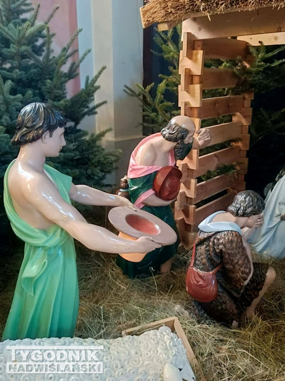 Szopki w kościołach w Tarnobrzegu