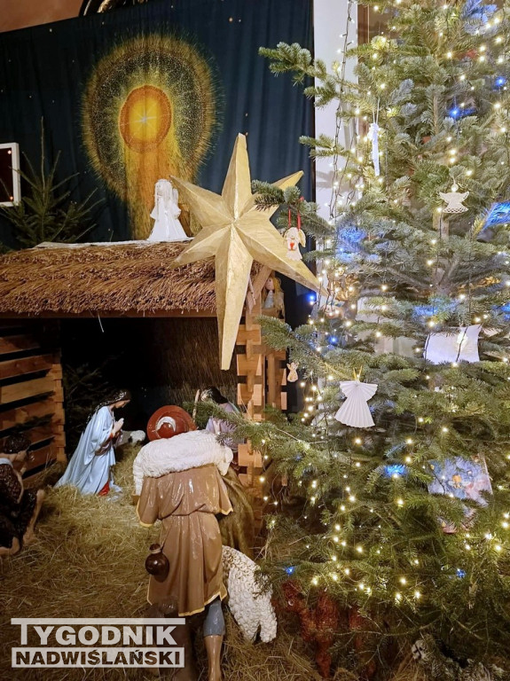 Szopki w kościołach w Tarnobrzegu