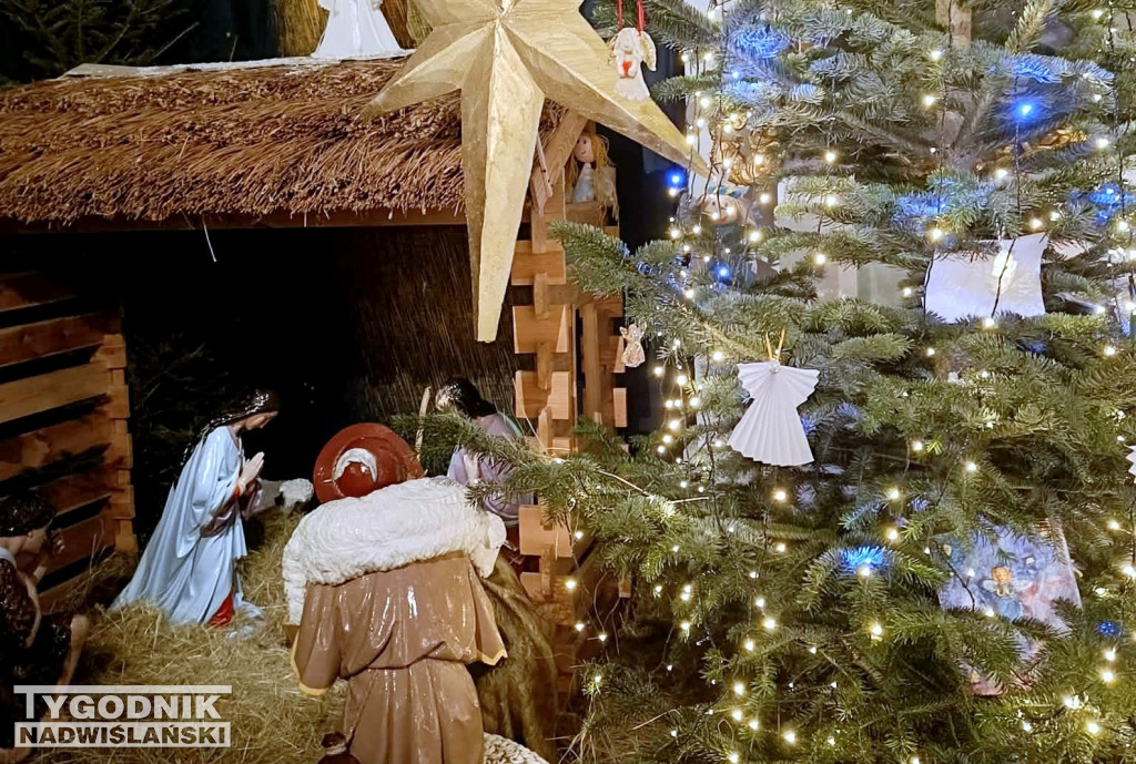 Szopki w kościołach w Tarnobrzegu