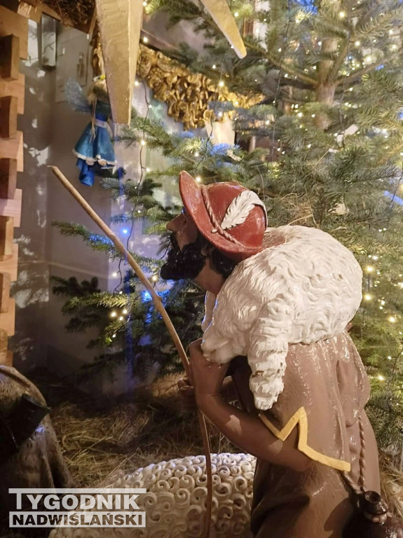 Szopki w kościołach w Tarnobrzegu