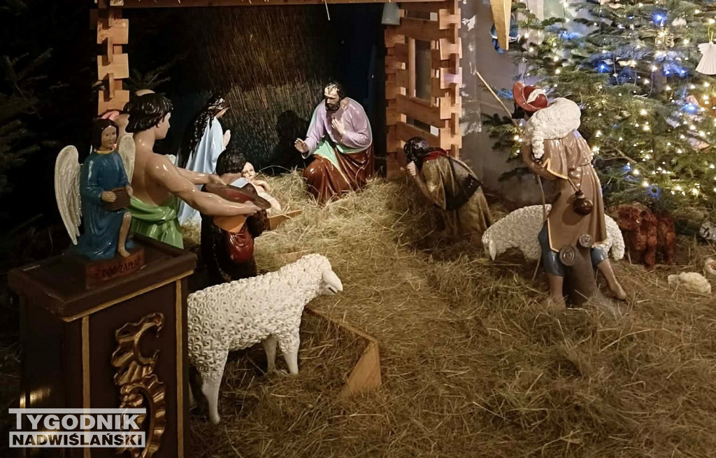 Szopki w kościołach w Tarnobrzegu
