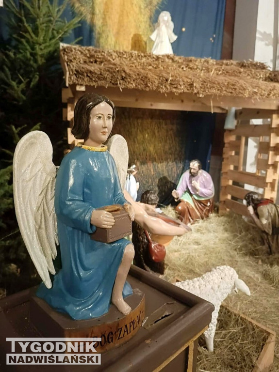 Szopki w kościołach w Tarnobrzegu