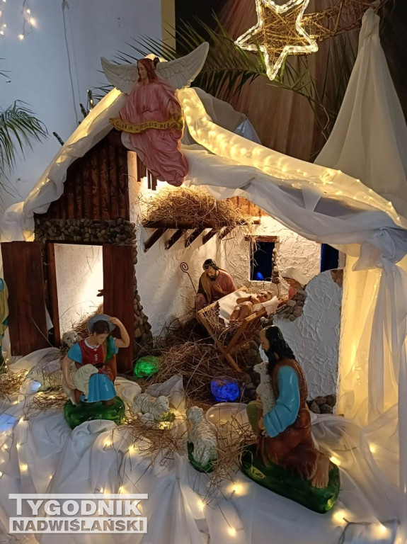 Szopki w kościołach w Tarnobrzegu