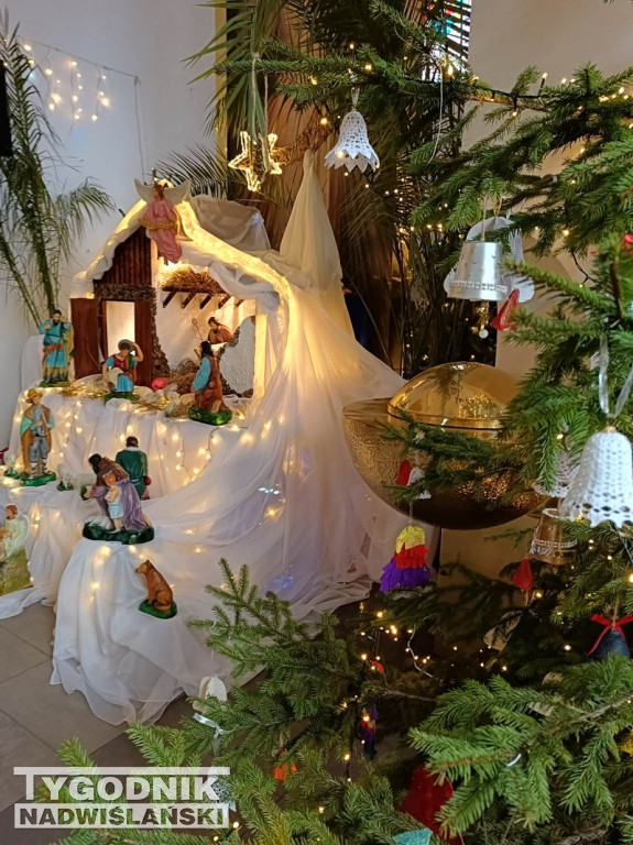 Szopki w kościołach w Tarnobrzegu