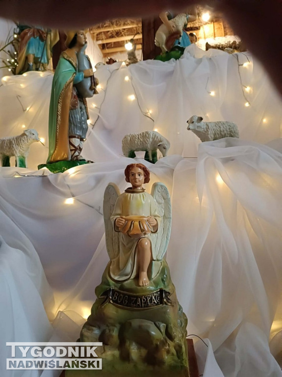 Szopki w kościołach w Tarnobrzegu