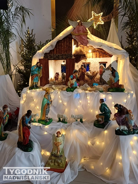 Szopki w kościołach w Tarnobrzegu