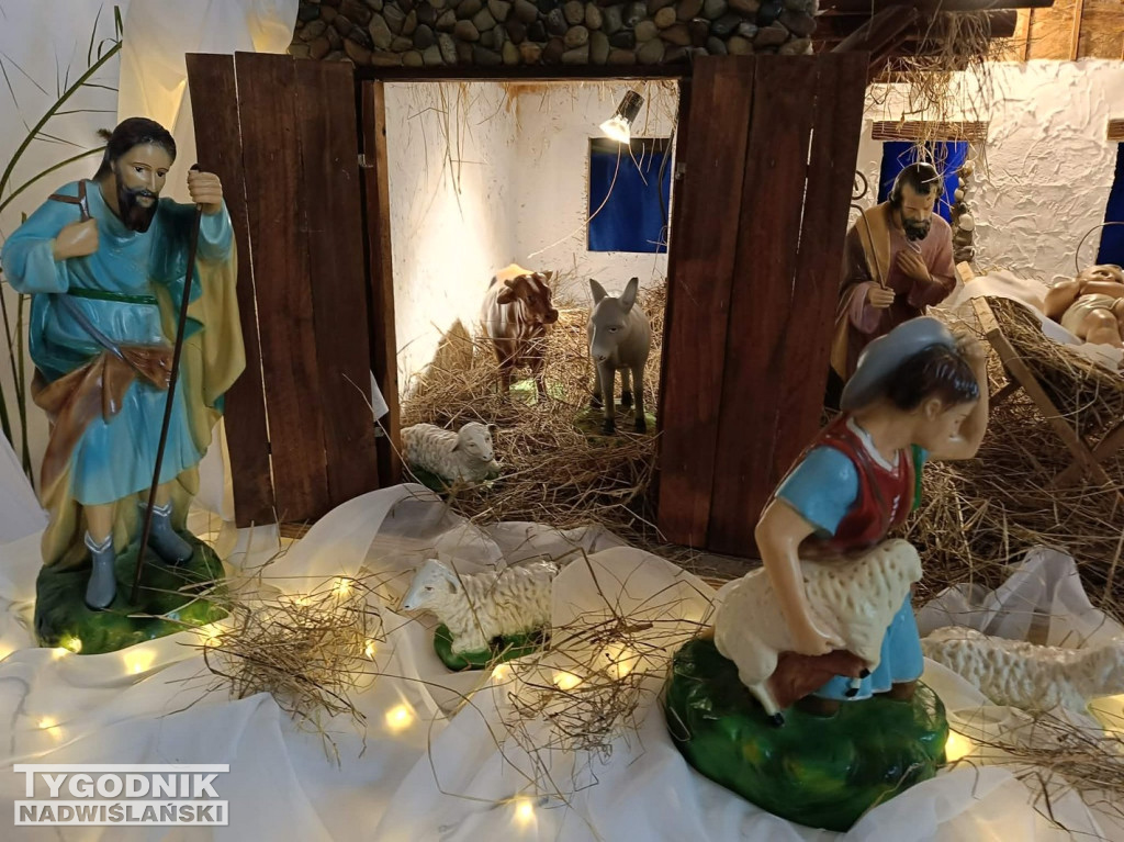 Szopki w kościołach w Tarnobrzegu