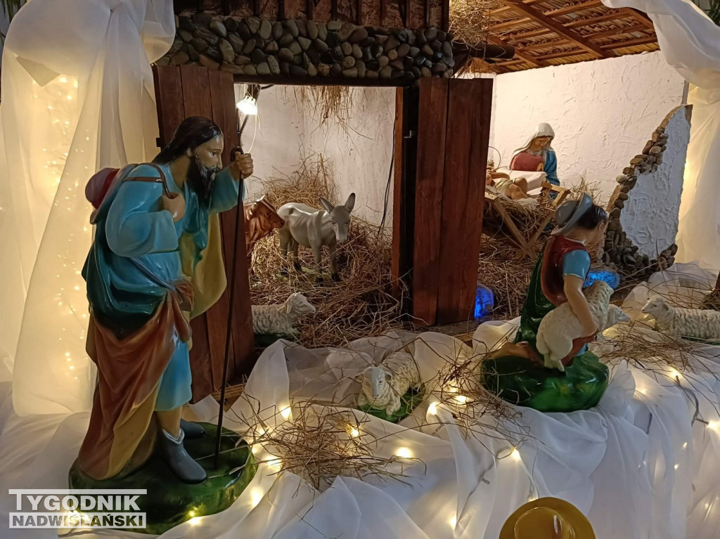 Szopki w kościołach w Tarnobrzegu