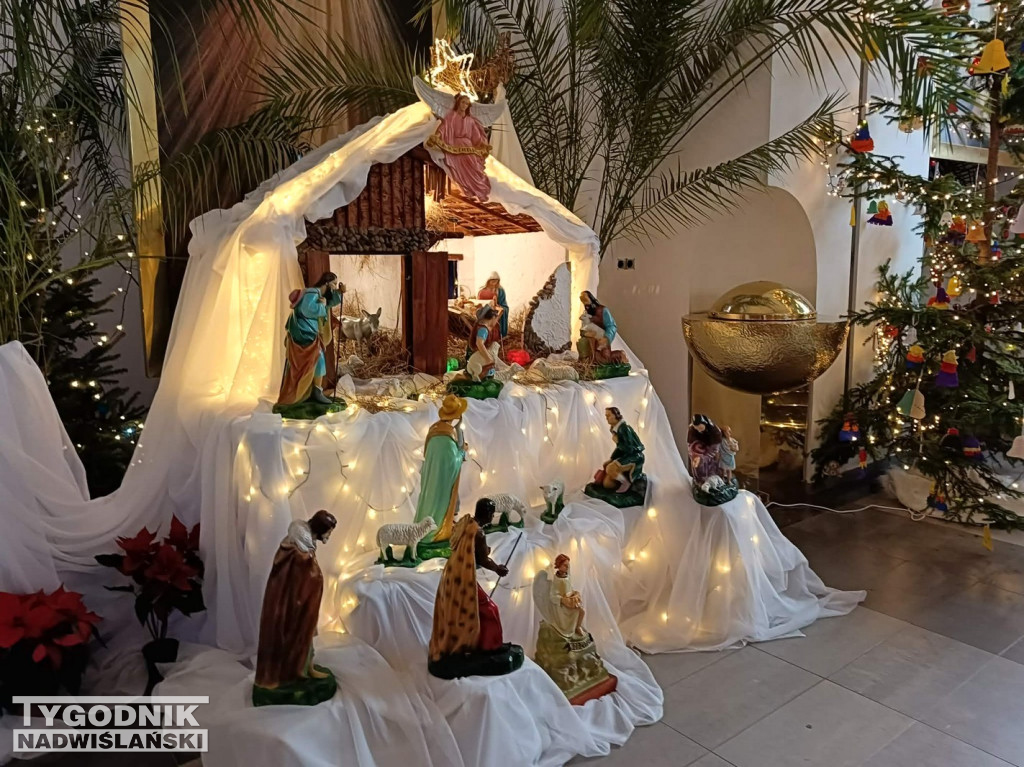 Szopki w kościołach w Tarnobrzegu