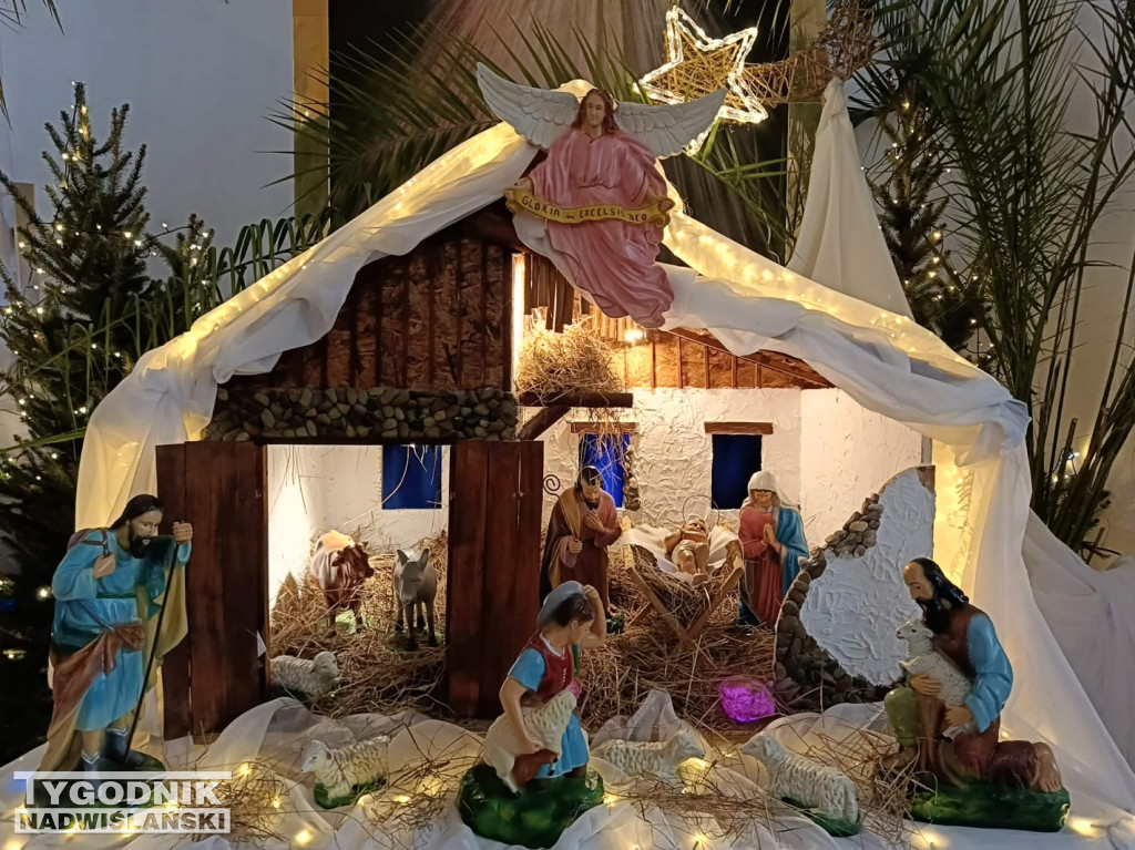 Szopki w kościołach w Tarnobrzegu