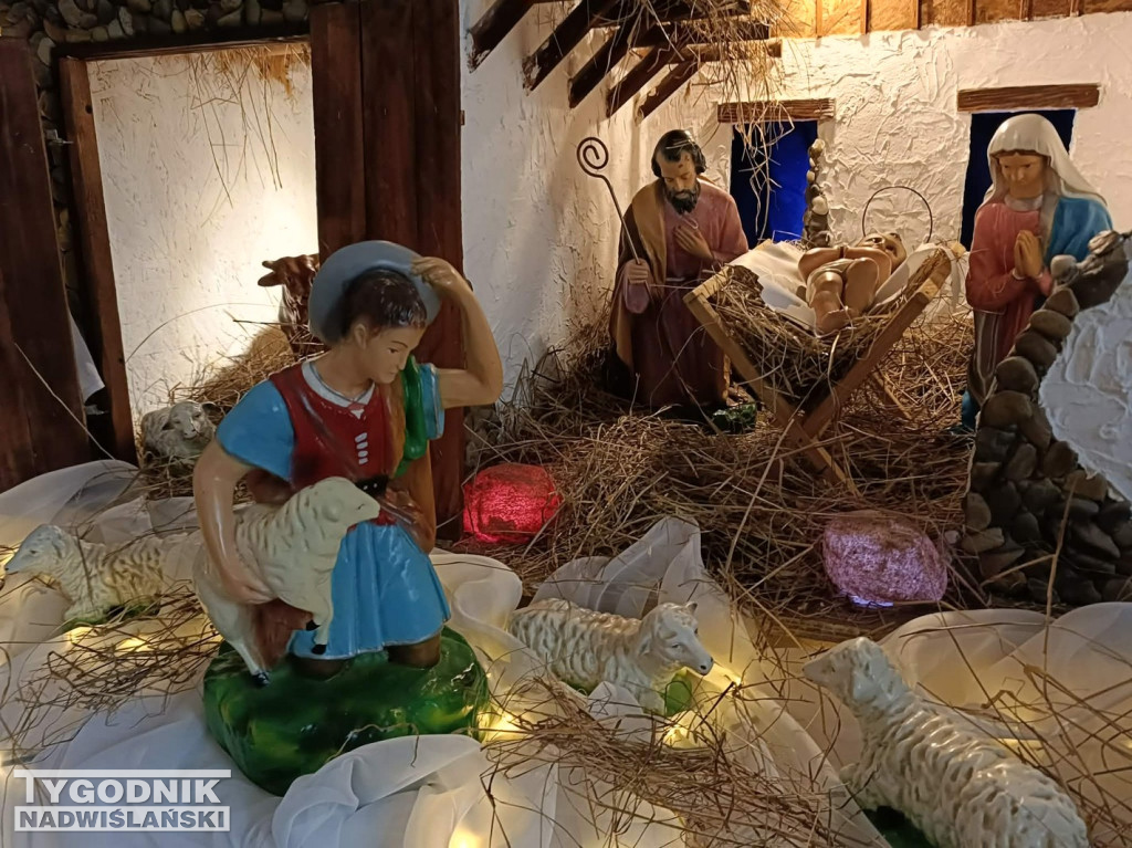 Szopki w kościołach w Tarnobrzegu