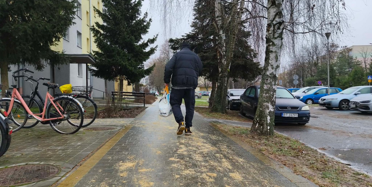 Ślizgawica w Tarnobrzegu