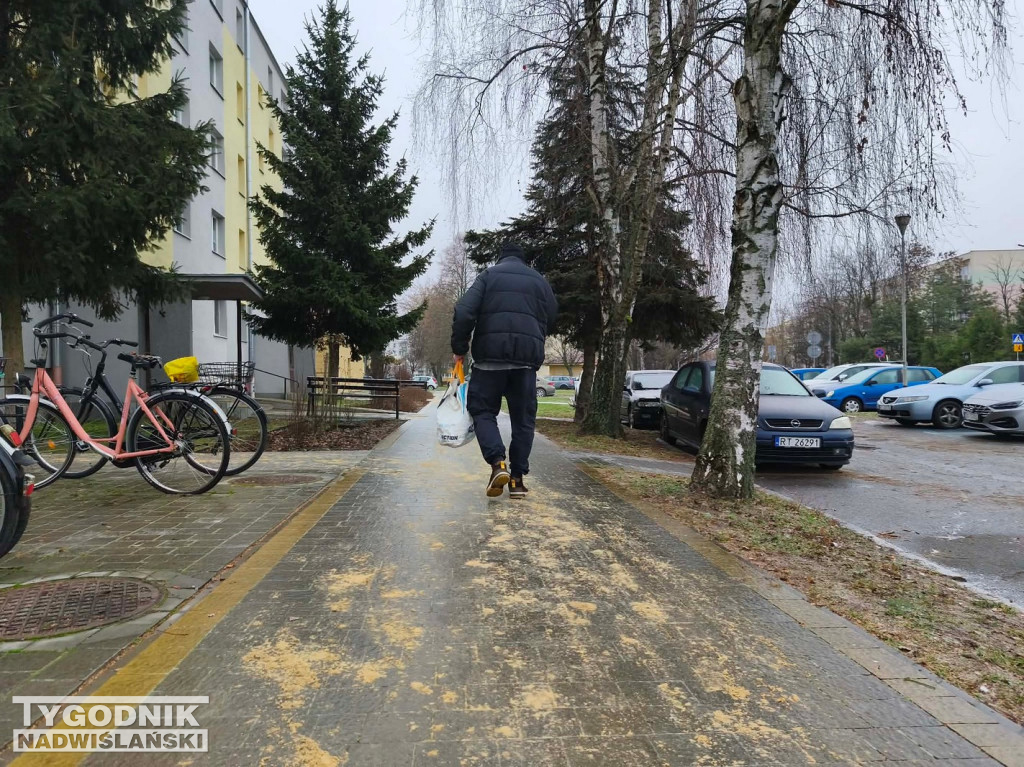 Ślizgawica w Tarnobrzegu