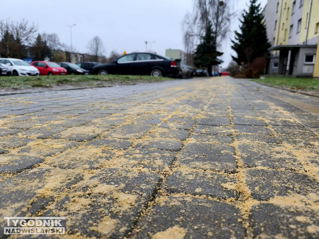 Ślizgawica w Tarnobrzegu