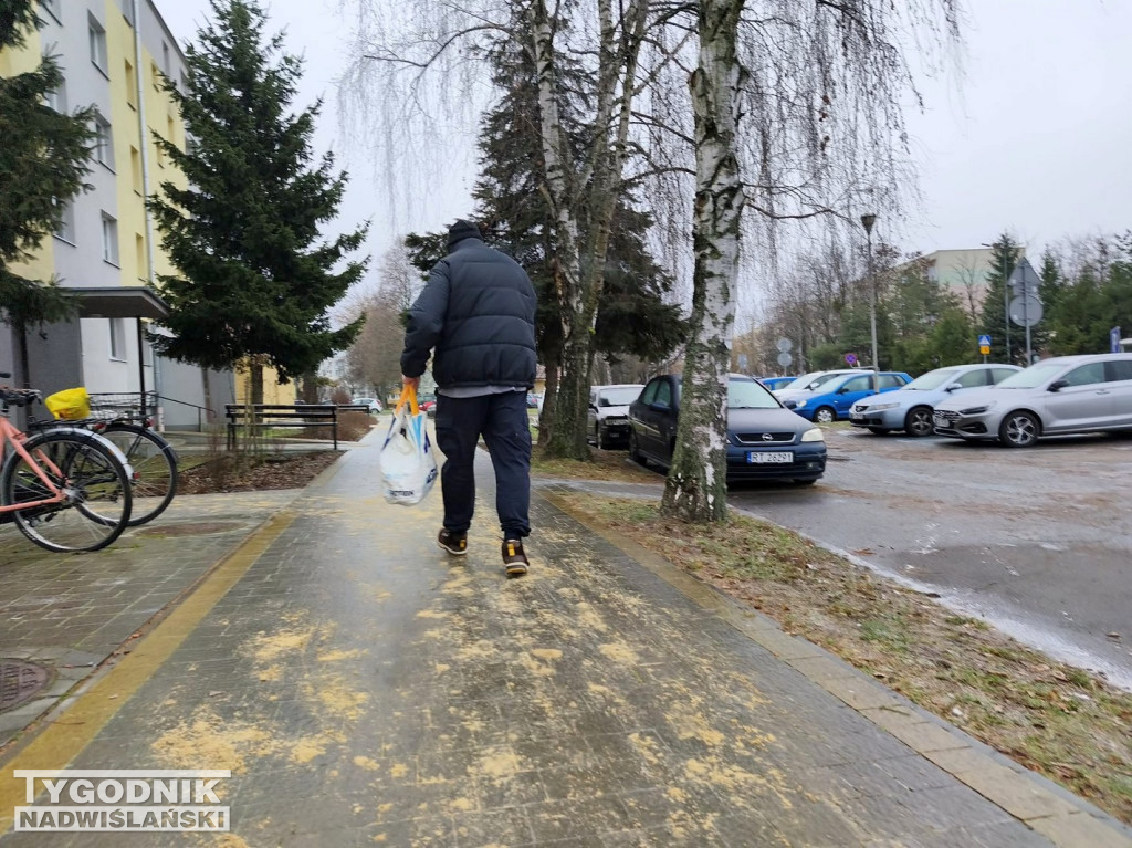 Ślizgawica w Tarnobrzegu