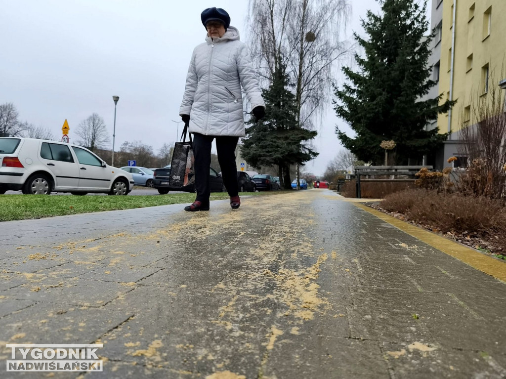 Ślizgawica w Tarnobrzegu