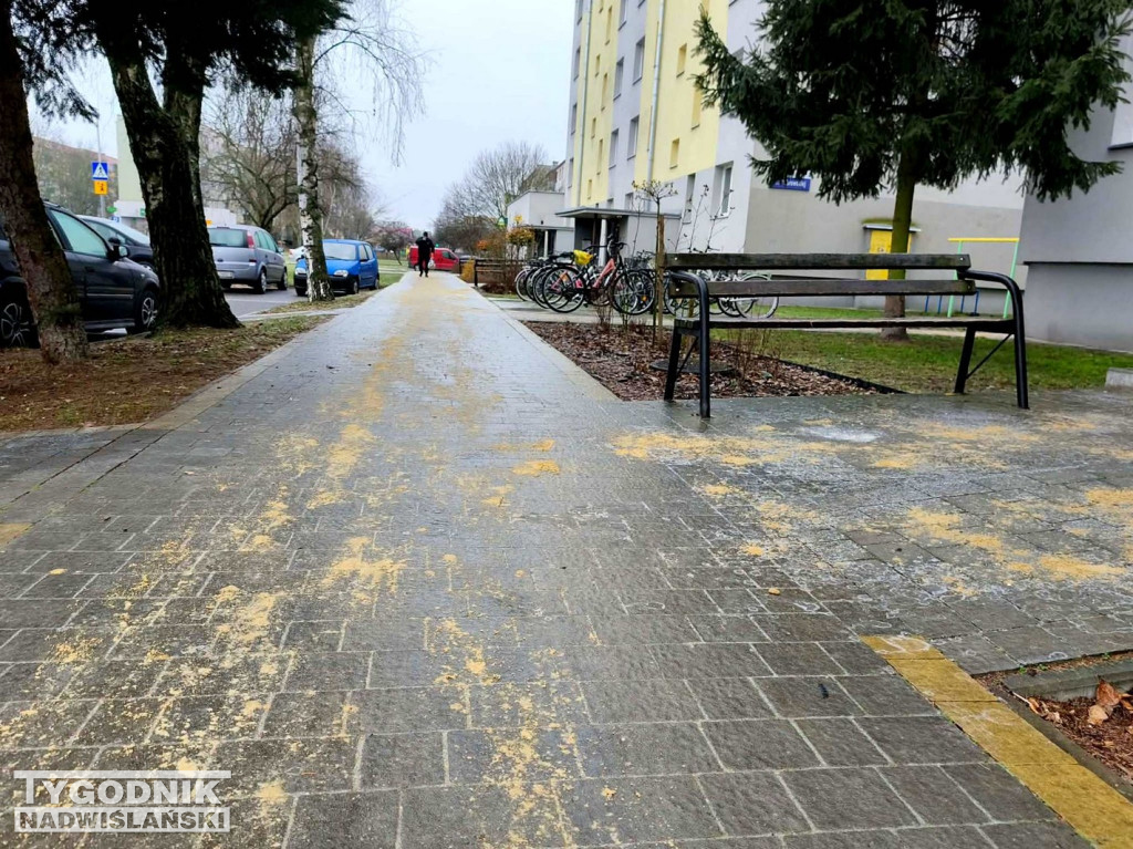 Ślizgawica w Tarnobrzegu