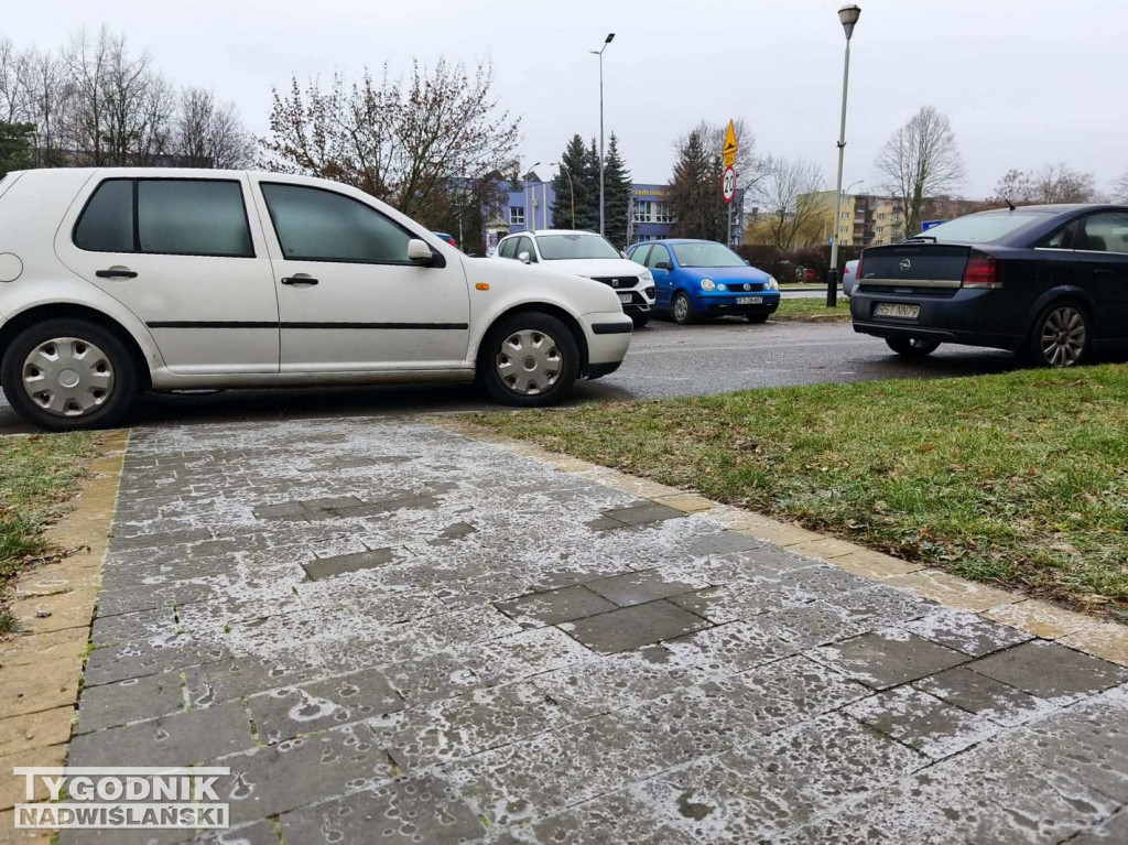 Ślizgawica w Tarnobrzegu