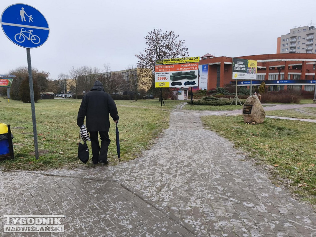 Ślizgawica w Tarnobrzegu