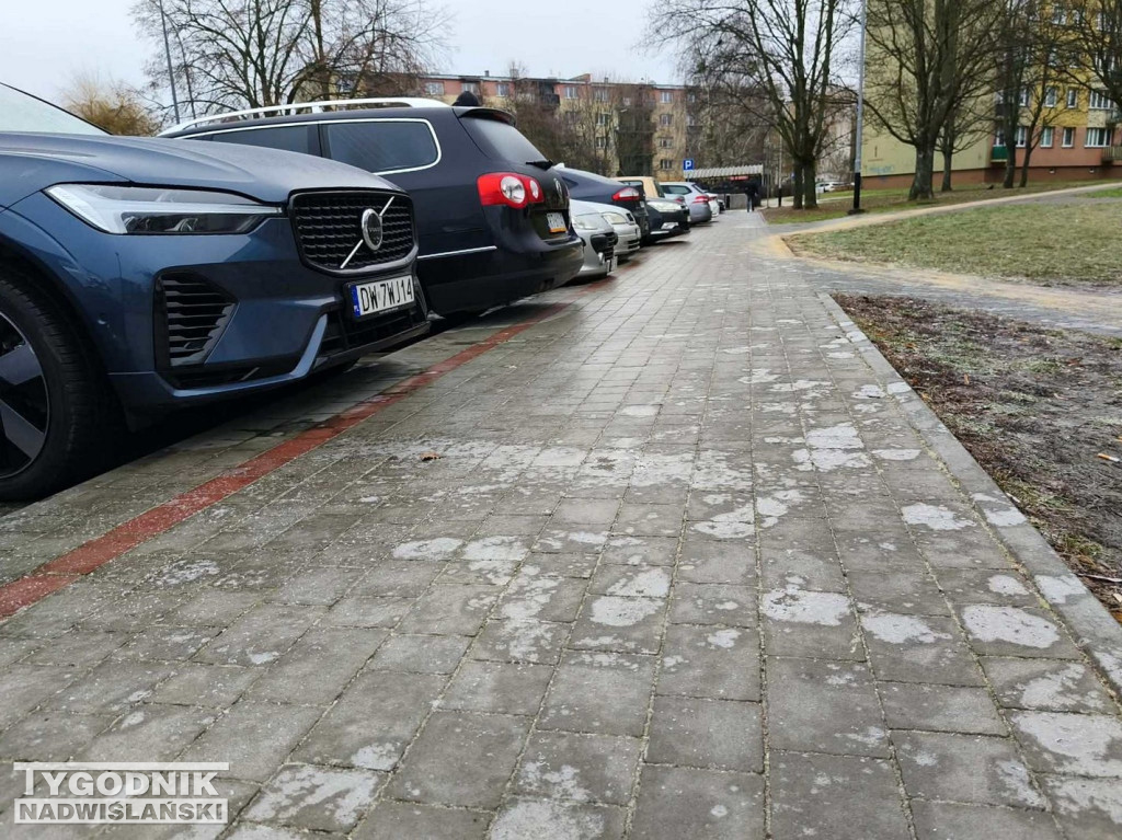 Ślizgawica w Tarnobrzegu