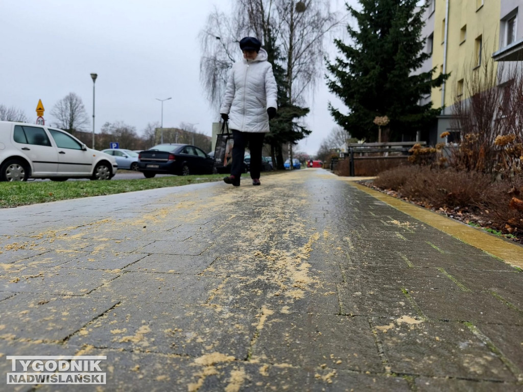 Ślizgawica w Tarnobrzegu