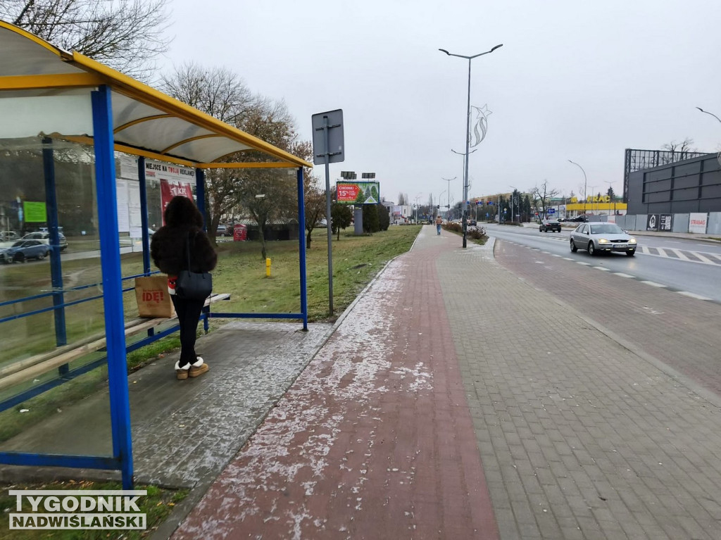 Ślizgawica w Tarnobrzegu