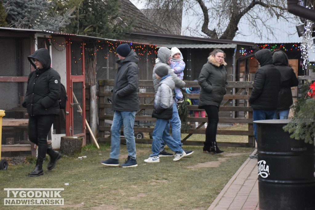 Żywa Szopka w Woli Baranowskiej