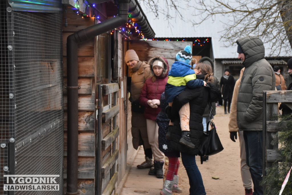 Żywa Szopka w Woli Baranowskiej