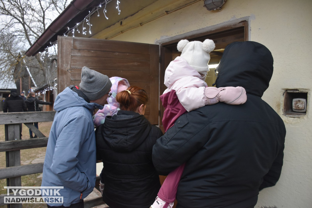 Żywa Szopka w Woli Baranowskiej