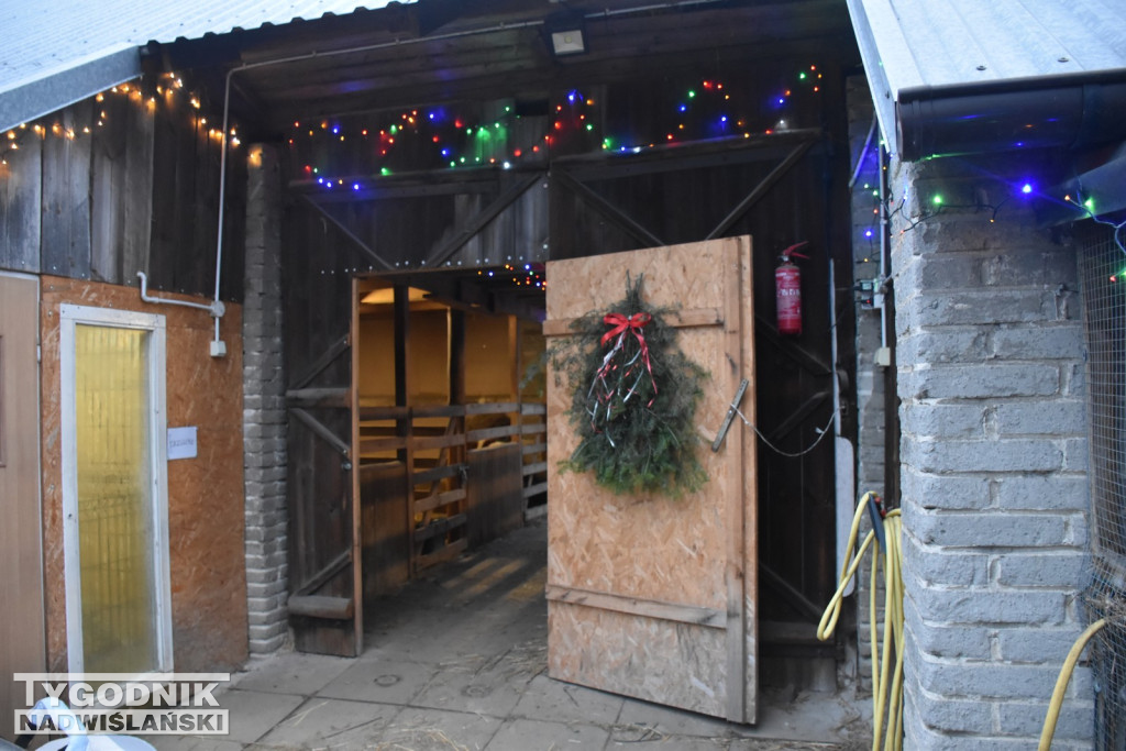 Żywa Szopka w Woli Baranowskiej