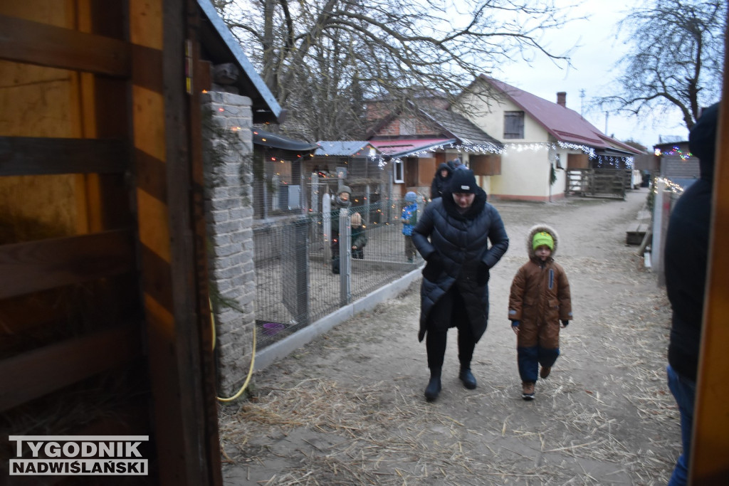Żywa Szopka w Woli Baranowskiej