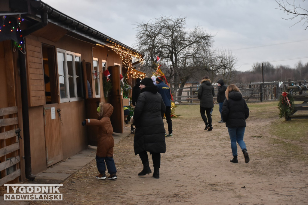 Żywa Szopka w Woli Baranowskiej