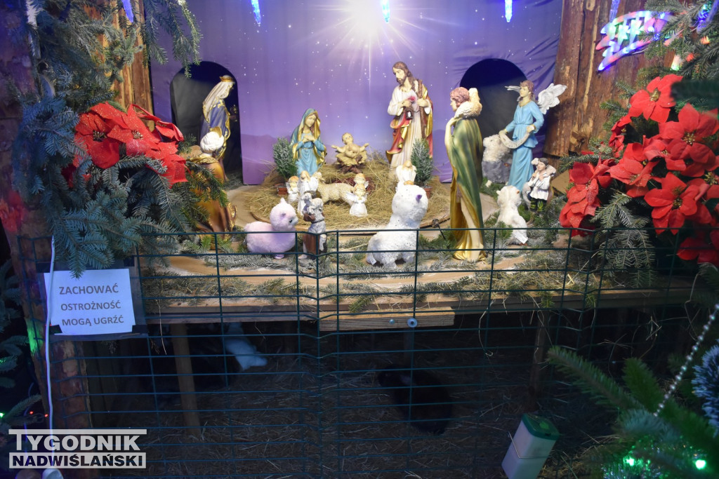 Żywa Szopka w Woli Baranowskiej