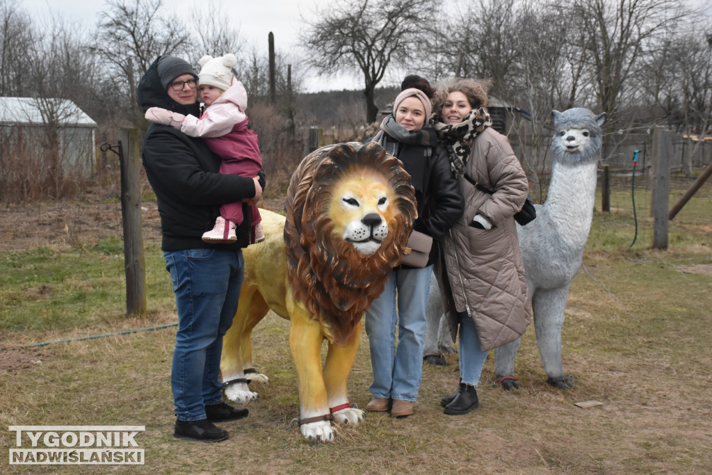 Żywa Szopka w Woli Baranowskiej