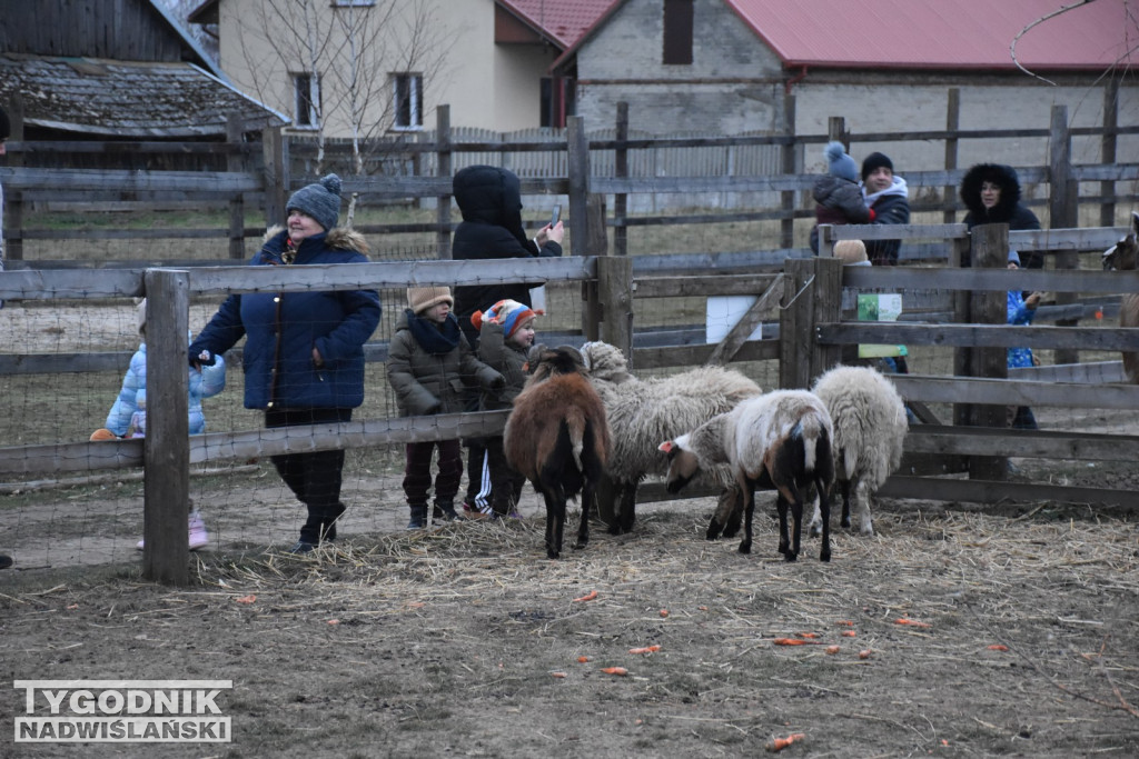 Żywa Szopka w Woli Baranowskiej