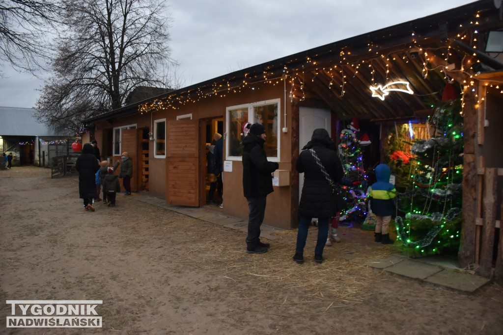 Żywa Szopka w Woli Baranowskiej