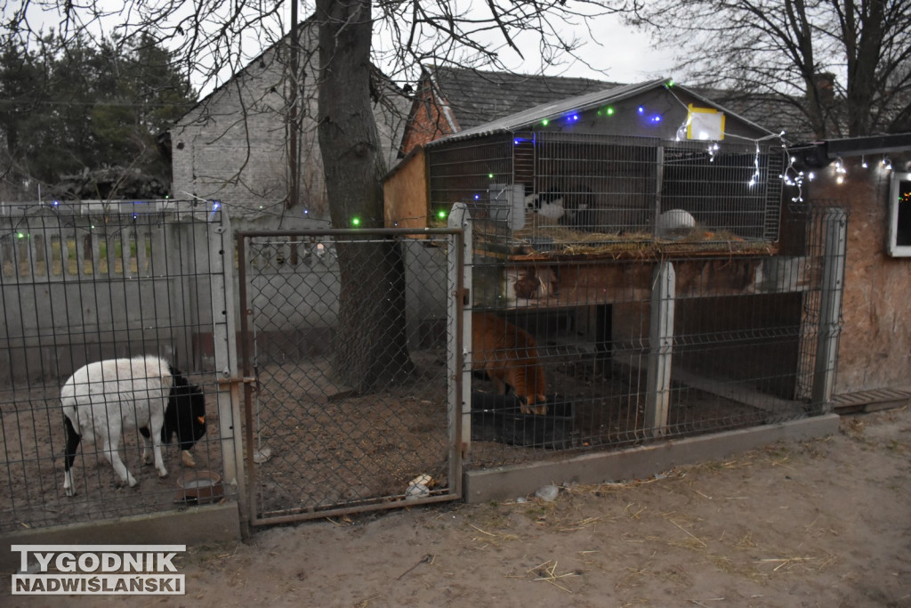 Żywa Szopka w Woli Baranowskiej